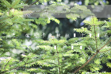 信用卡欠款超過十萬還不上怎么辦-信用卡欠款超過十萬還不上怎么辦呢