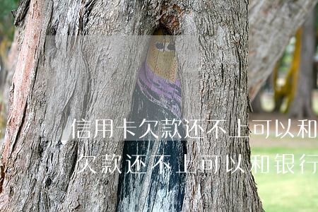 信用卡欠款还不上可以和银行协商-信用卡欠款还不上可以和银行协商吗