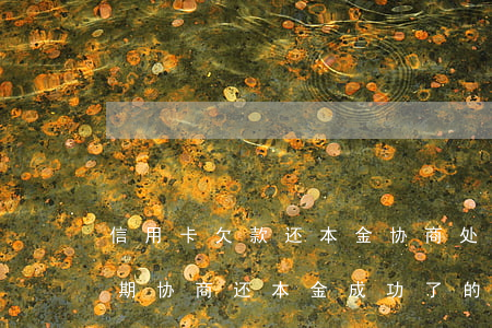 信用卡欠款还本金协商处理(有没有信用卡逾期协商还本金成功了的)