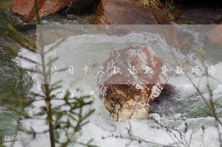 信用卡欠款还能贷款吗(信用卡欠款还能贷款吗现在)