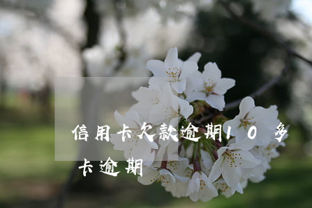 信用卡欠款逾期10多萬(欠十多家銀行信用卡逾期)
