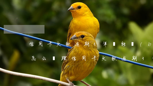 信用卡欠款逾期3年還能報(bào)案嗎怎么處理（信用卡欠款逾期3年還能報(bào)案嗎）
