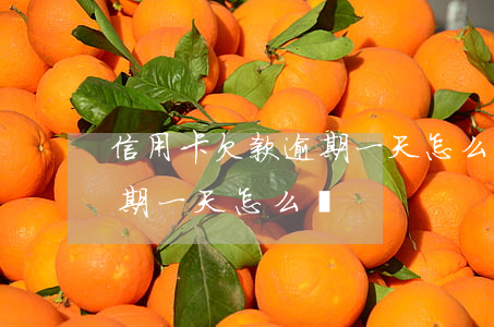 信用卡欠款逾期一天怎么辦(忘記還信用卡逾期一天怎么辦)