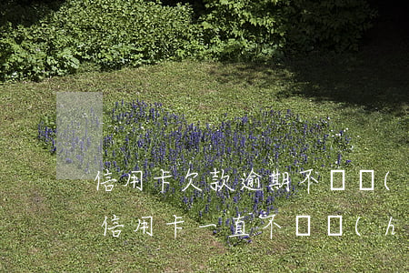 信用卡欠款逾期不還會(huì)坐牢嗎(欠信用卡一直不還會(huì)坐牢嗎)