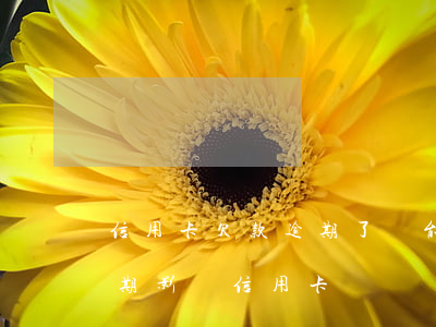 信用卡欠款逾期了還能借分期樂嗎(分期樂逾期影響信用卡?)