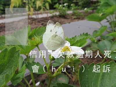 信用卡欠款逾期人死了(信用卡逾期銀行多久會(huì)起訴)