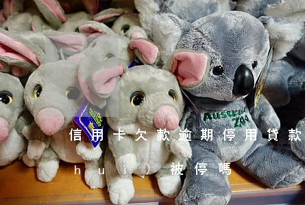 信用卡欠款逾期停用(貸款有逾期信用卡會(huì)被停嗎)