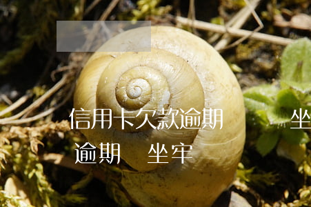 信用卡欠款逾期兩萬會坐牢嗎-2萬信用卡逾期會坐牢嗎