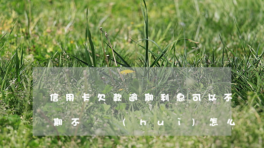 信用卡欠款逾期利息可以不還嗎(欠信用卡逾期不還會(huì)怎么樣)