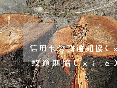信用卡欠款逾期協(xié)商-信用卡欠款逾期協(xié)商本金銀行讓先還進(jìn)去一部分再協(xié)商