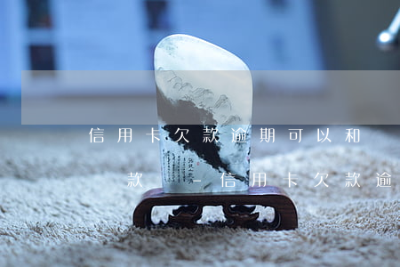 信用卡欠款逾期可以和銀行協(xié)商還款嗎-信用卡欠款逾期可以和銀行協(xié)商還款嗎
