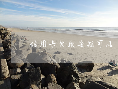 信用卡欠款逾期可以車貸嗎(欠信用卡能車貸嗎)
