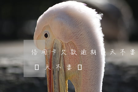信用卡欠款逾期幾天不要緊(信用卡欠款逾期幾天不要緊)