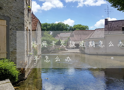 信用卡欠款逾期怎么办(欠信用卡钱逾期了半年怎么办)