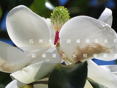 信用卡欠款逾期怎么和催收溝通-信用卡欠款逾期怎么和催收溝通協(xié)商