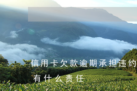 信用卡欠款逾期承担违约责任(借信用卡逾期有什么责任)