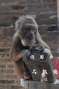 信用卡欠款逾期接到律师函怎么办-信用卡欠款逾期接到律师函怎么办理