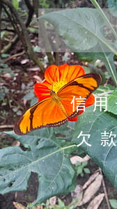 信用卡欠款逾期收到律師函合法嗎-信用卡欠款逾期收到律師函合法嗎怎么辦