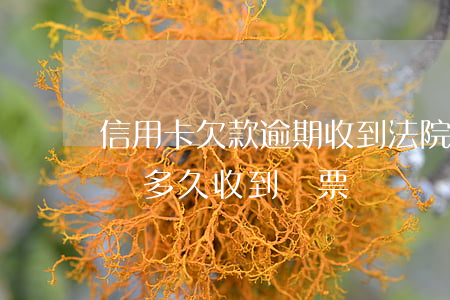信用卡欠款逾期收到法院傳票(欠信用卡被起訴多久收到傳票)