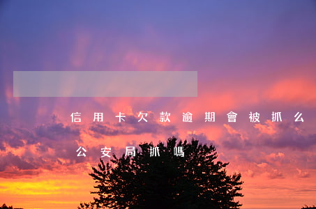 信用卡欠款逾期會被抓么(欠信用卡逾期會被公安局抓嗎)