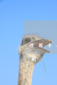 信用卡欠款逾期每月幾十(信用卡欠幾千塊逾期)