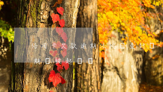 信用卡欠款逾期法院會查封嗎-欠信用卡逾期會被起訴嗎