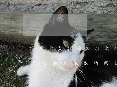 信用卡欠款逾期派出所回來抓人嗎-信用卡欠款逾期派出所回來抓人嗎是真的嗎
