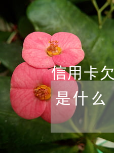 信用卡欠款逾期的后果(信用卡逾期嚴重后果是什么)