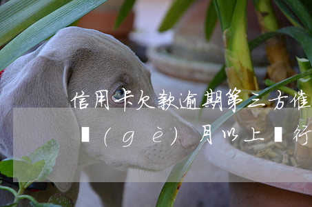 信用卡欠款逾期第三方催收(欠信用卡逾期3個(gè)月以上,銀行催收怎么辦?)