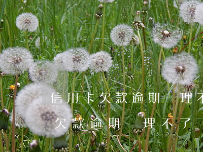 信用卡欠款逾期處理不了該怎么辦-信用卡欠款逾期處理不了該怎么辦呢