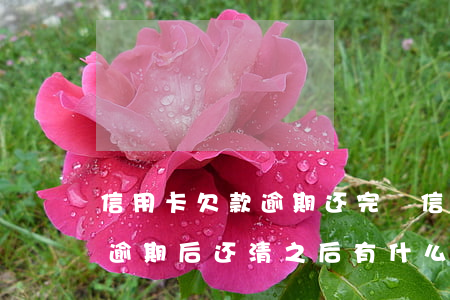 信用卡欠款逾期还完佂信能消吗-欠信用卡逾期后还清之后有什么危害