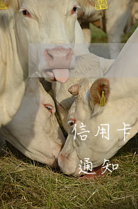 信用卡欠款逾期通知書什么格式 信用卡 逾期 通知