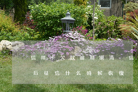 信用卡欠款逾期還清-信用卡欠款逾期還清后征信什么時候恢復