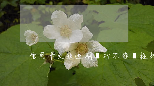 信用卡欠款逾期銀行不催還(拖欠銀行信用卡)