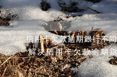 信用卡欠款逾期銀行不同意協(xié)商解決（信用卡欠款逾期銀行不同意協(xié)商）