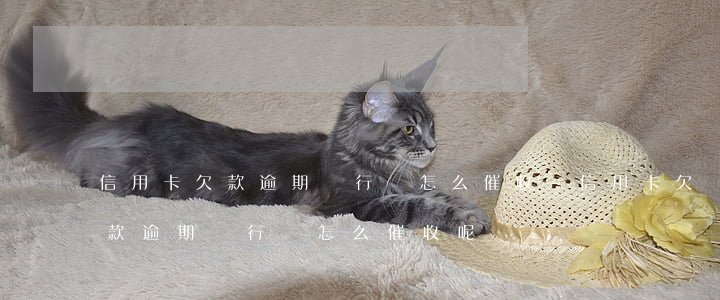 信用卡欠款逾期銀行會怎么催收-信用卡欠款逾期銀行會怎么催收呢