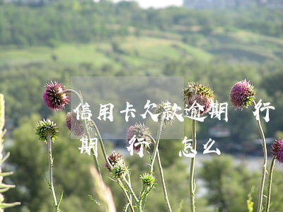 信用卡欠款逾期銀行會怎么樣（信用卡欠款逾期銀行會怎么樣）