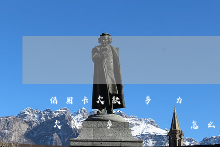 信用卡欠款過多無力償還怎么處理-信用卡欠款過多無力償還怎么處理呢