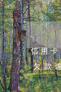 信用卡欠款達到五萬逾期多久起訴-信用卡欠款達到五萬逾期多久起訴有效