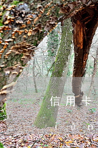 信用卡欠款還不上主動(dòng)聯(lián)系銀行-欠信用卡錢還不上銀行找上門怎么辦