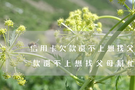信用卡欠款還不上想找父母幫忙-信用卡欠款還不上想找父母幫忙怎么辦