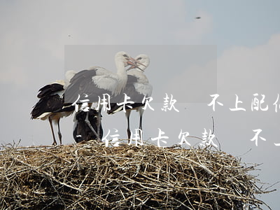 信用卡欠款還不上配偶會(huì)牽連嗎-信用卡欠款還不上配偶會(huì)牽連嗎知乎