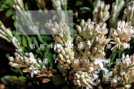 信用卡欠款還了一部分算逾期嗎-信用卡欠款還了一部分算逾期嗎怎么辦
