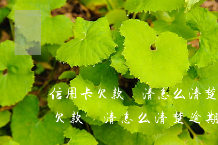 信用卡欠款還清怎么清楚逾期記錄-信用卡欠款還清怎么清楚逾期記錄呢