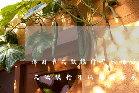 信用卡欠款银行可以起诉继承权吗-信用卡欠款银行可以起诉继承权吗知乎