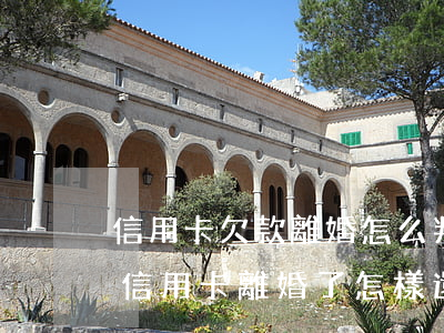 信用卡欠款離婚怎么判(婚內(nèi)欠的信用卡,離婚了怎樣還)
