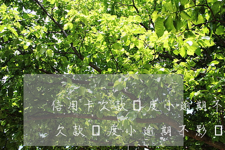 信用卡欠款額度小逾期不影響征信-信用卡欠款額度小逾期不影響征信吧