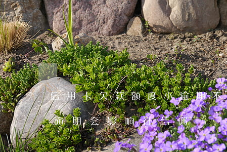 信用卡欠款额度小逾期不影响征信(欠信用卡逾期会影响征信吗)