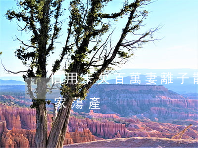 信用卡欠百萬妻離子散(欠信用卡妻離子散傾家蕩產)
