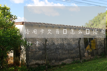 信用卡欠百萬怎么辦(信用卡欠百萬怎么辦銀行卡)